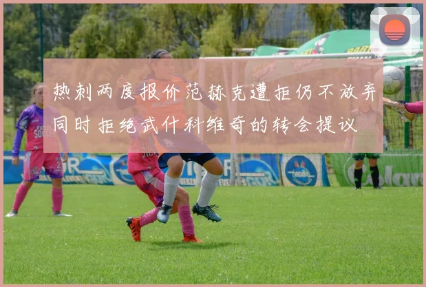 热刺两度报价范赫克遭拒仍不放弃同时拒绝武什科维奇的转会提议