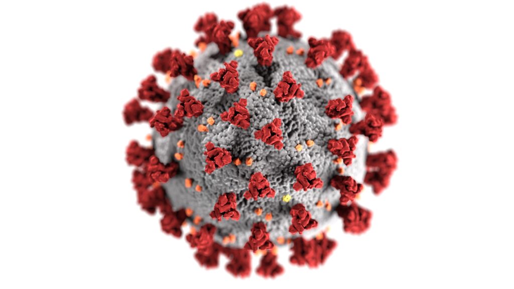 Representation of the COVID19 virus from the CDC